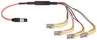 Fiber Optic MTP to LC Cable Image