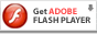 Macromedia Flash Player