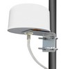 Picture for category U Series 5 GHz MIMO Omni