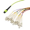 Picture for category OM5 MPO to Flex LC 12 Fiber