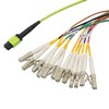 Picture for category OM5 MPO to Fan-out 12 Fiber