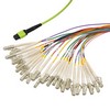 Picture for category OM5 MPO to Flex LC 24 Fiber