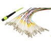 Picture for category OM5 MPO to Fan out 24 Fiber