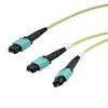 Picture for category MPO Conversion Cables