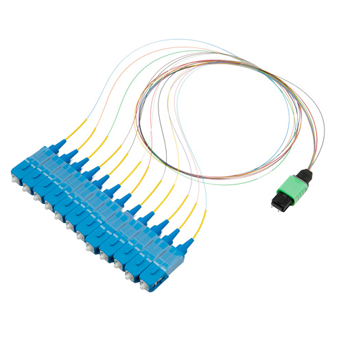 Picture of Fiber Optic Patch Assembly Single Mode OS2, 12 Fiber MPO (male) to SC/UPC 0.25mm Bare Fiber - 0.5M