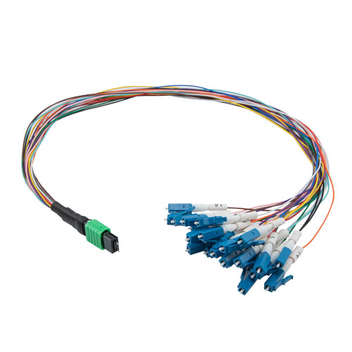 Picture of Fiber Optic Patch Assembly Single Mode OS2, 24 Fiber MPO (male) to LC/UPC 0.9mm PVC Color with number ring - 0.5M