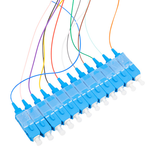 12 Fiber SC/UPC Distribution Style Pigtail, SM, Blue Boots