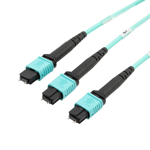 Picture of Fiber Aggregation Conversion Harness, 16 Fiber MPO24 w/ pins to 2xMPO12 w/ pins, OM3 50/125µm Multimode, LSZH Jacket, Aqua, 3 meter