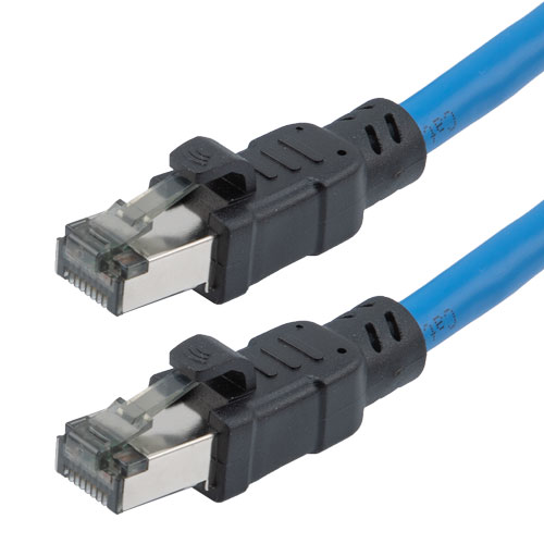 Picture of Category 8 40gig Ethernet Cable Assembly, S/FTP Overall Braid Shield w Shielded Pairs, RJ45 Male-Plug, 24AWG Solid, CM PVC, Blue, 2FT