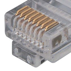 Picture of USOC Splitter, 8x8 Plug / 4 (8x2) Jacks