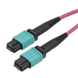 ともP POWER CABLE 6-50P (230V/50A) ADAPTER | MillerWelds