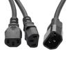 Picture of C14 Female to C13 Female Power Splitter Cord, Rated for 10 A, 10-foot Length