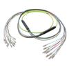 Picture of 12-Fiber LC UPC to LC UPC, OM5 Multimode Distribution Cable, 6.2mm LSZH, 2.0mm breakout, Lime Green-10M