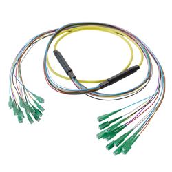 Picture of 12-Fiber SC APC to SC APC, OS2 Single Mode Distribution Cable, 6.2mm Riser, 2.0mm breakout, Yellow-30M