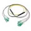 Picture of 8-Fiber SC APC to SC APC, OS2 Single Mode Distribution Cable, 5.6mm Riser, 2.0mm breakout, Yellow-30M