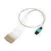 Picture of Fiber Optic Patch Assembly Multimode OM2, 6 Fiber MPO (male) to LC/PC 0.25mm Bare Fiber - 0.5M
