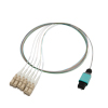 Picture of Fiber Optic Patch Assembly Multimode OM2, 6 Fiber MPO (male) to LC/PC 0.25mm Bare Fiber - 1M