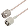Picture of TNC Male to Reverse Polarity TNC Plug Cable Assembly using RG316 Coax, 1 FT