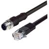 Picture of M12 4 Position D-Coded Male/RJ45 Male Cable Assembly, 5.0m