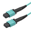 Picture of Fiber patch cable MPO female to MPO female, 12 fiber MMF OM3 type A, LSZH rated, 10 meter