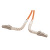 Picture of MPO Male to 6x Flex LC Fan-out, 6 Fiber Ribbon, OM1 62.5/125 Multimode, OFNR Jacket, Orange, 1.0m