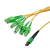 Picture of Type A MPO w/ pins to SC/APC fan-out, 2.0mm Diameter, 8 Fiber, Single Mode OS2 9/125µm, OFNP Jacket, 10 Meter