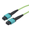 Picture of MPO w/ pins to MPO no pins, 8 Fiber, Type B, 100GB 50/125µm OM5 MMF, OFNR Jacket, 1 Meter