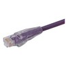 Picture of Premium Cat 6 Cable, RJ45 / RJ45, Violet 1.0 ft