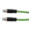 Picture of M12 Category 5e IP67 4 Position D code, Double Shielded, 22AWG Drag Chain, Industrial, Outdoor Cable, M12M M12M, CMX HFPUR, GRN, 10m