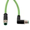 Picture of M12 Category 5e IP67 4 Position D code, Double Shielded, 22AWG Drag Chain, Industrial, Outdoor Cable, RAM12M M12M, CMX HFPUR, GRN, 0.5m
