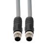 Picture of M12 5 Position IP67 K-Code AC Power Cable Assembly, 16AWG 300V 12A, Industrial Drag Chain PUR Jacket, Male to Male, Gray, 5.0m