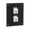 Picture of Universal Sub-Panel, 2 Category 5e Low Profile Mini-Couplers, RJ45 Straight Thru
