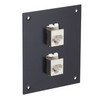 Picture of Universal Sub-Panel, 2 Shielded Category 5e Low Profile Mini-Couplers, RJ45 Straight Thru